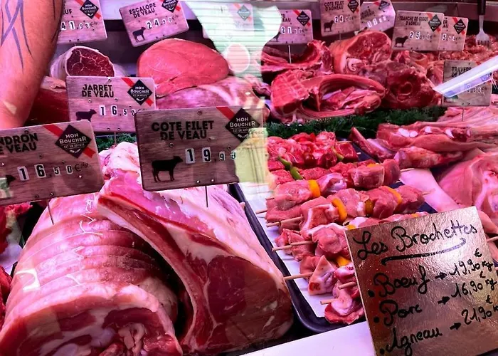 Pause Cathare Appartement